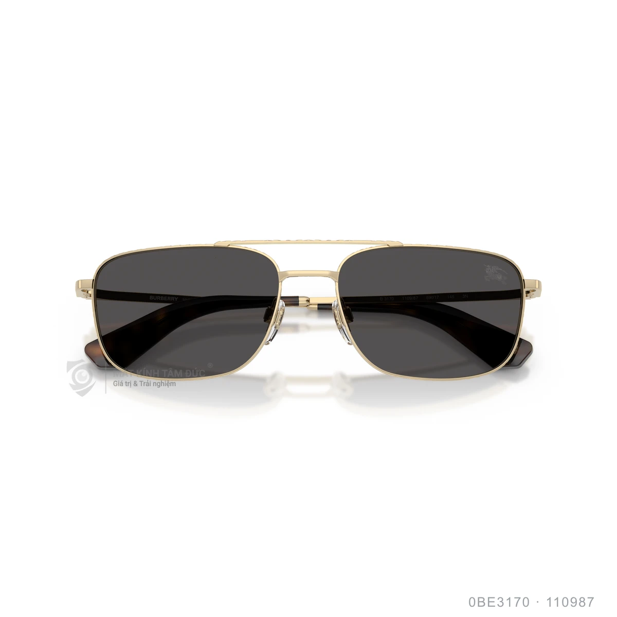 Kính mát Burberry 0BE3170 - Ảnh 23