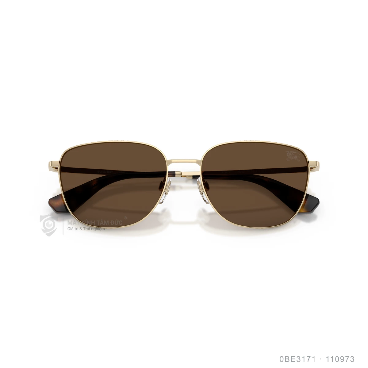 Kính mát Burberry 0BE3171 - Ảnh 18