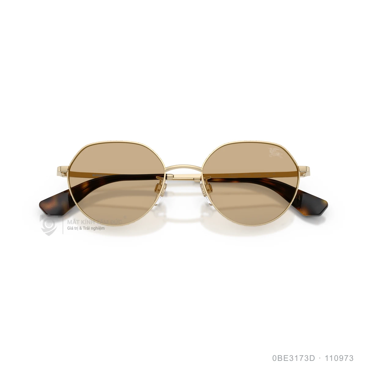 Kính mát Burberry 0BE3173D - Ảnh 13