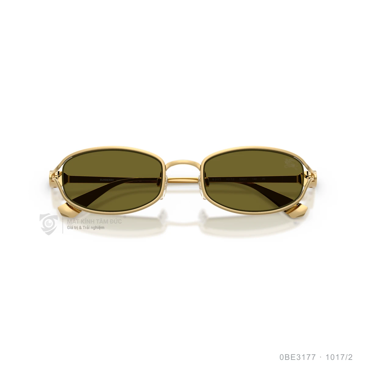 Kính mát Burberry 0BE3177 - Ảnh 13