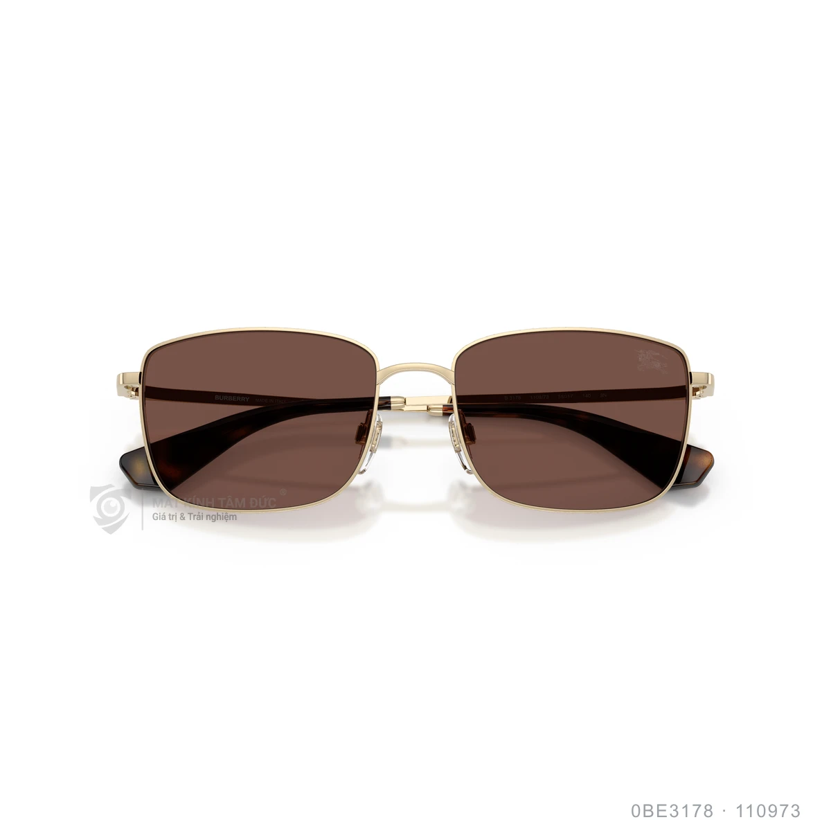 Kính mát Burberry 0BE3178 - Ảnh 18