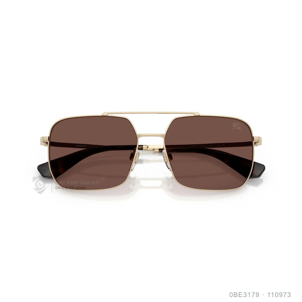 Kính mát Burberry 0BE3179 - Ảnh 23