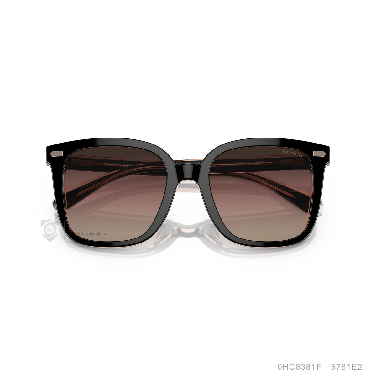 Kính mát Coach 0HC8381F - Ảnh 3