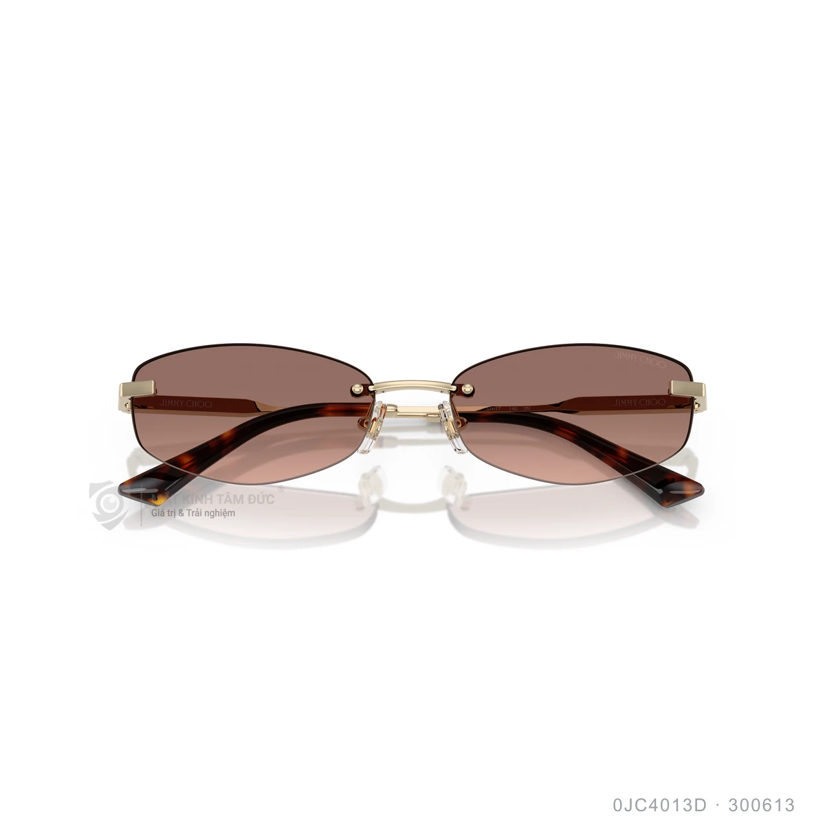 Kính mát Jimmy Choo 0JC4013D - Ảnh 3