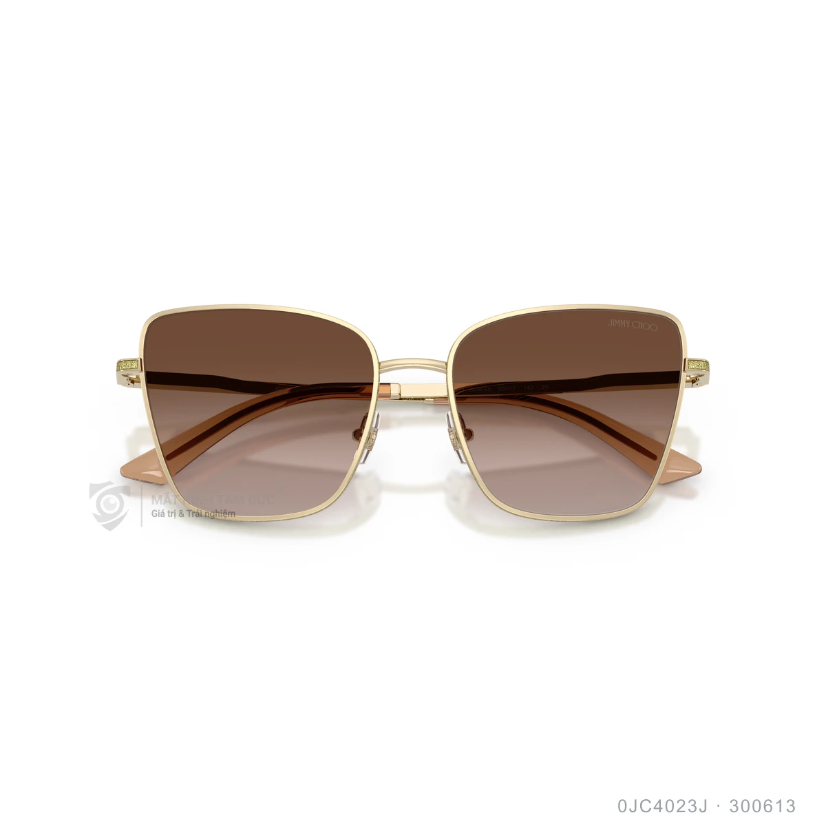 Kính mát Jimmy Choo 0JC4023J - Ảnh 13