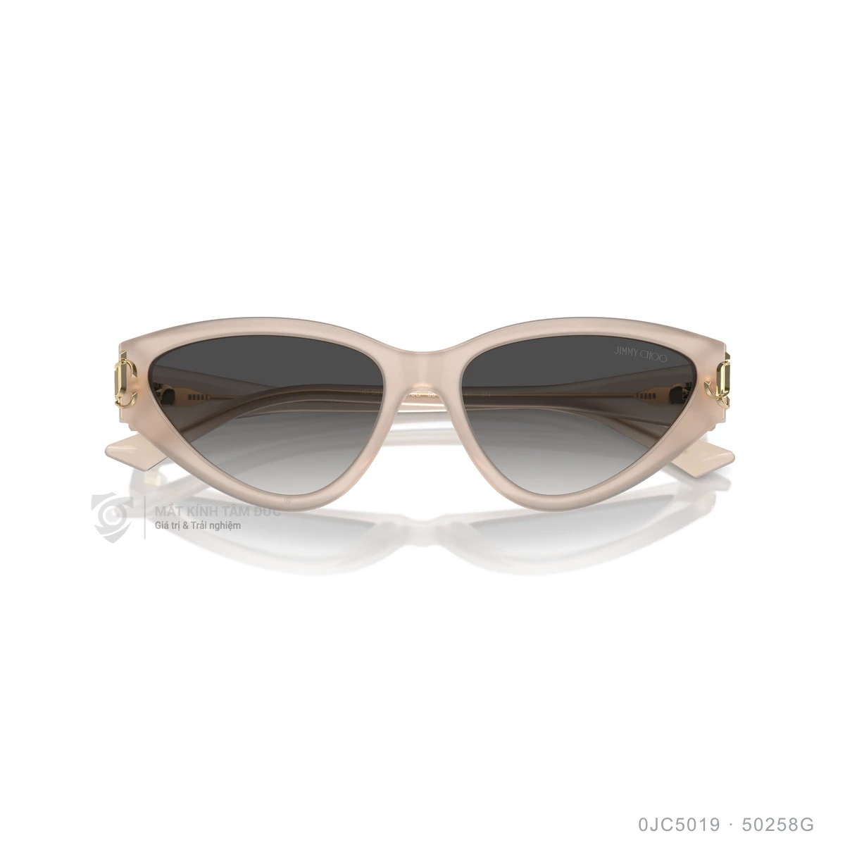 Kính mát Jimmy Choo 0JC5019 - Ảnh 13
