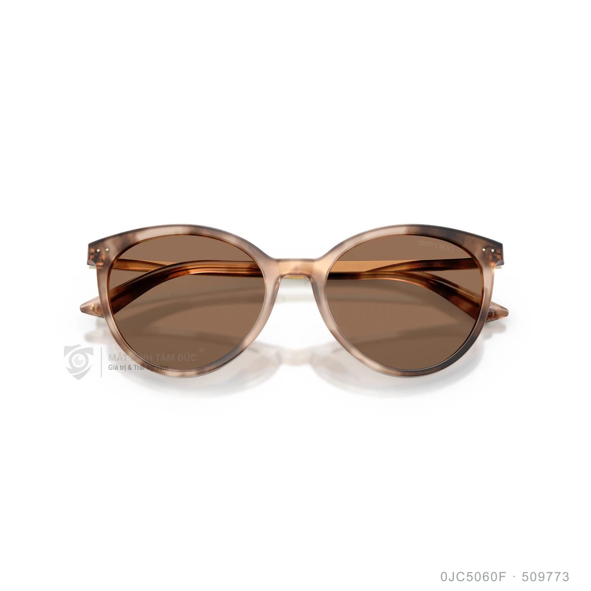 Kính mát Jimmy Choo 0JC5060F - Ảnh 13