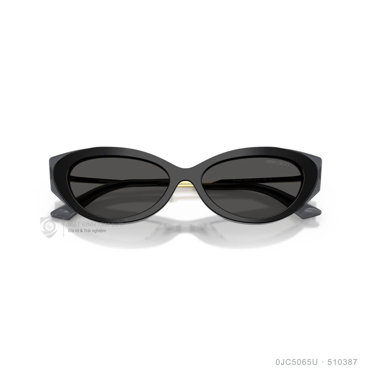 Kính mát Jimmy Choo 0JC5065U - Ảnh 8