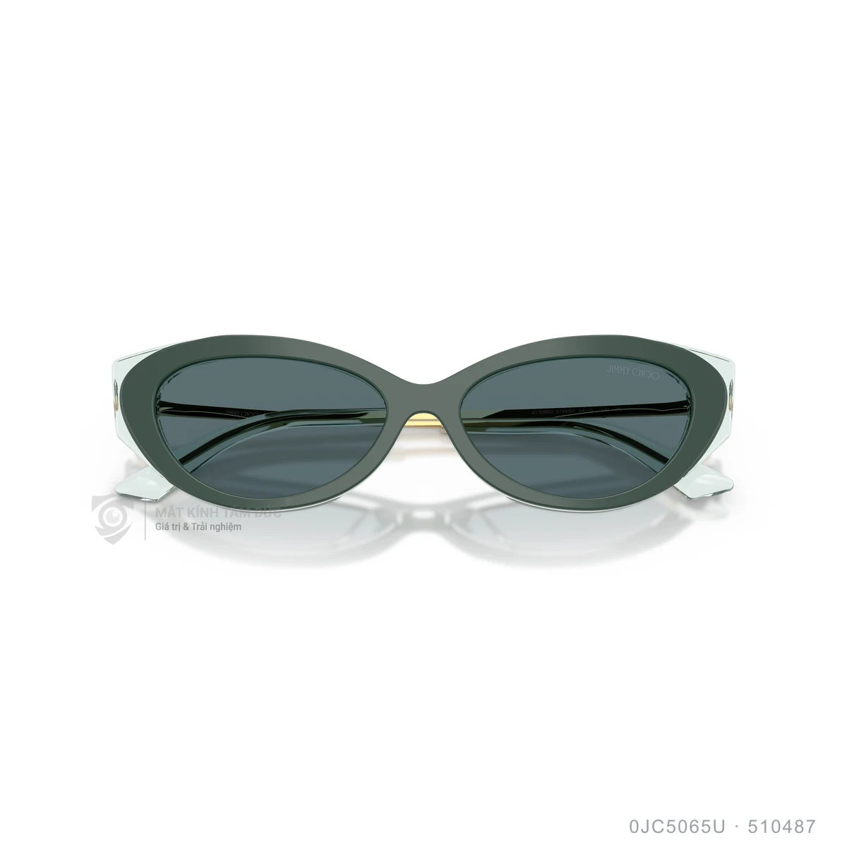 Kính mát Jimmy Choo 0JC5065U - Ảnh 13