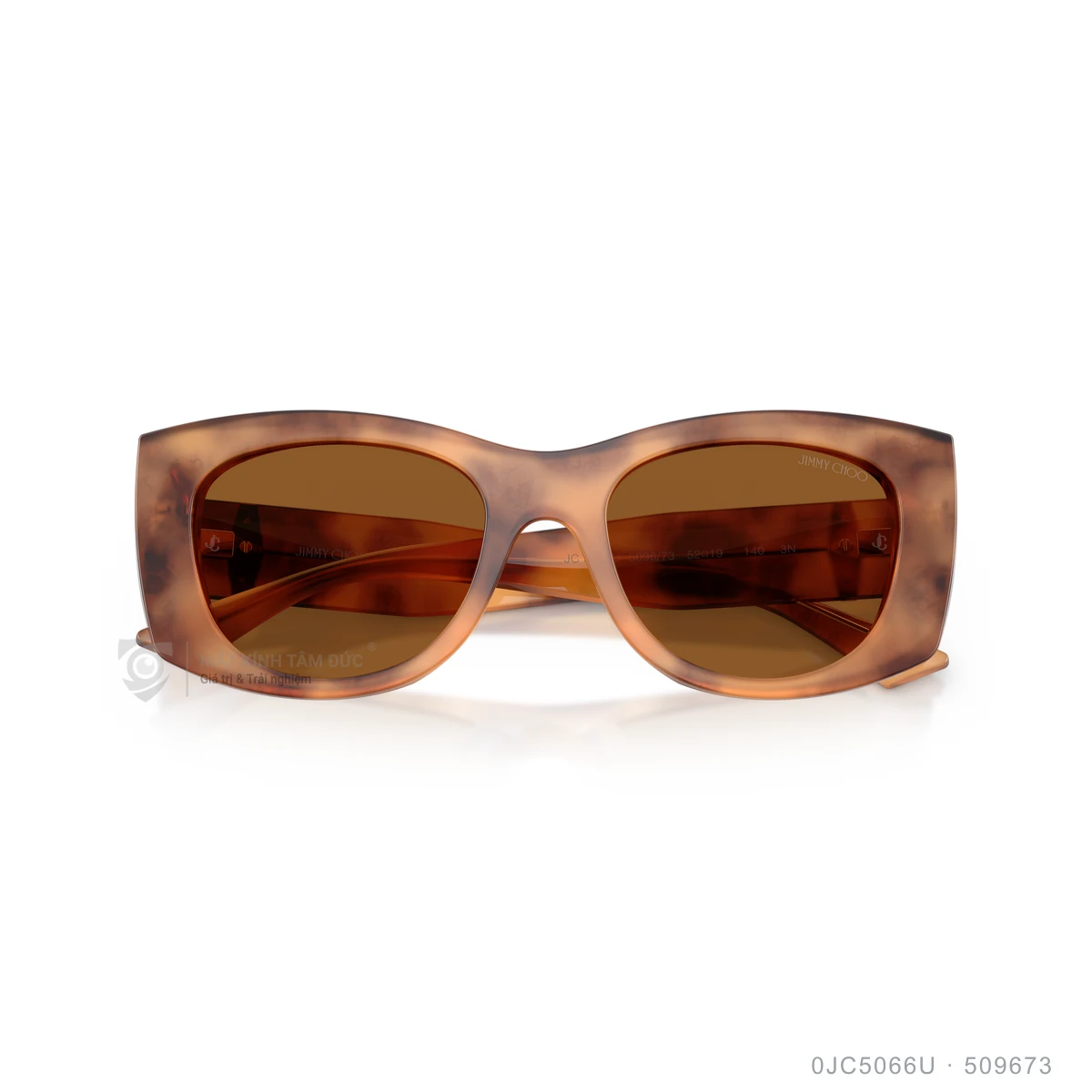 Kính mát Jimmy Choo 0JC5066U - Ảnh 13