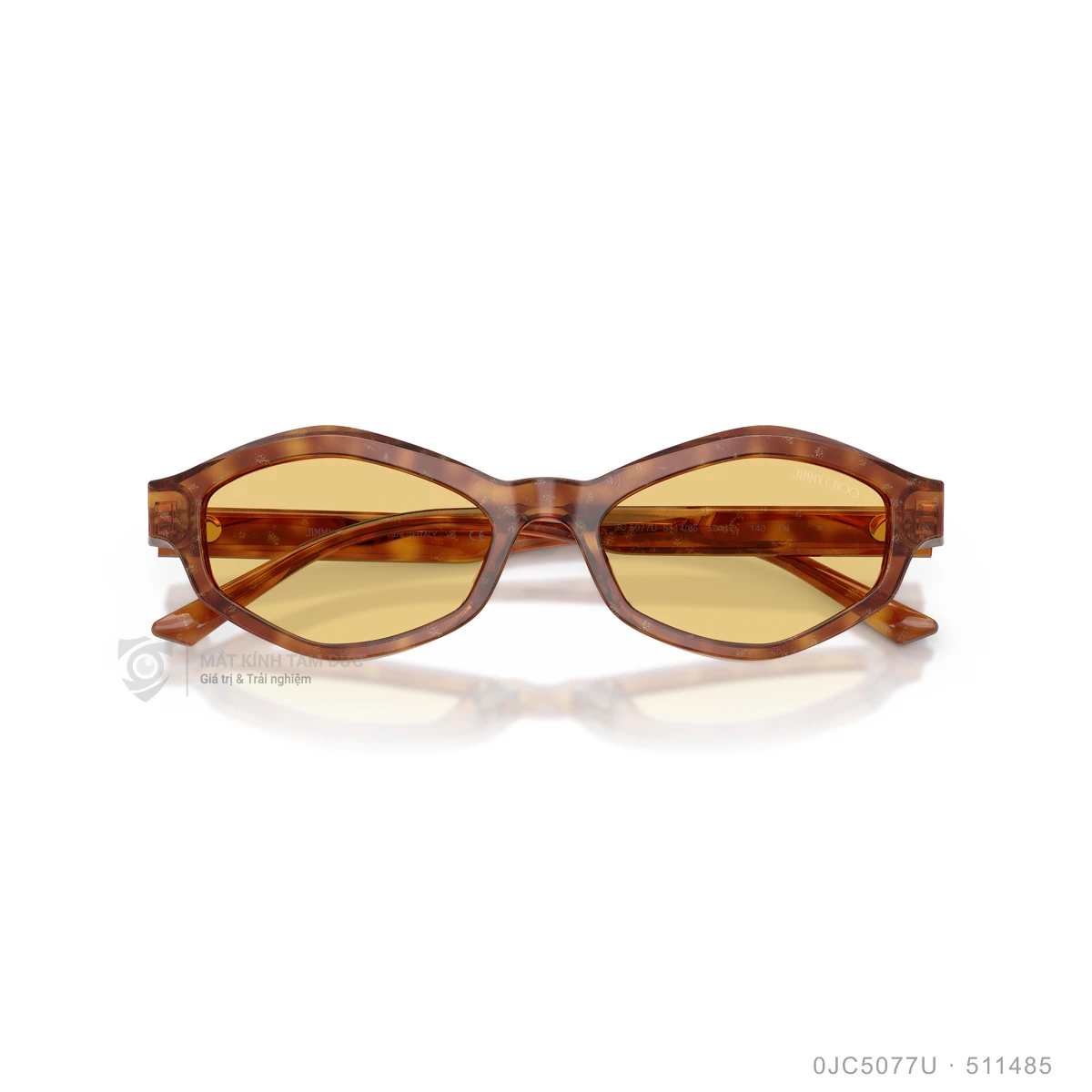 Kính mát Jimmy Choo 0JC5077U - Ảnh 13