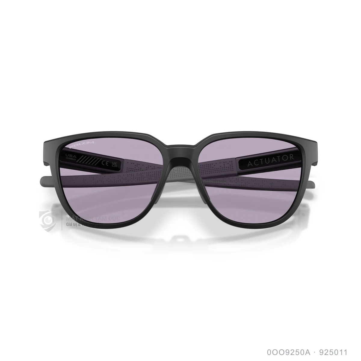Kính mát Oakley 0OO9250A - Ảnh 23