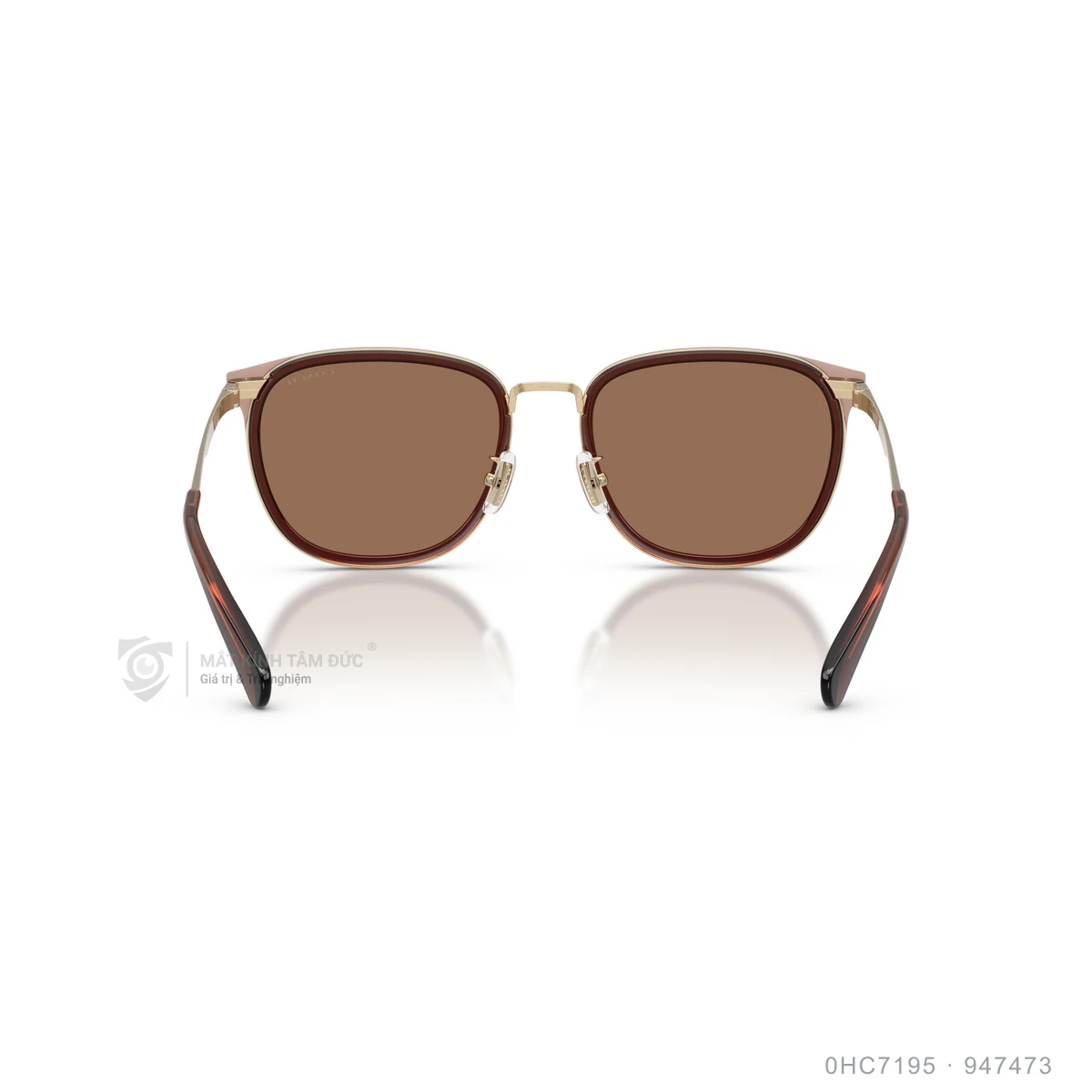 Kính mát Coach 0HC7195 - Ảnh 5