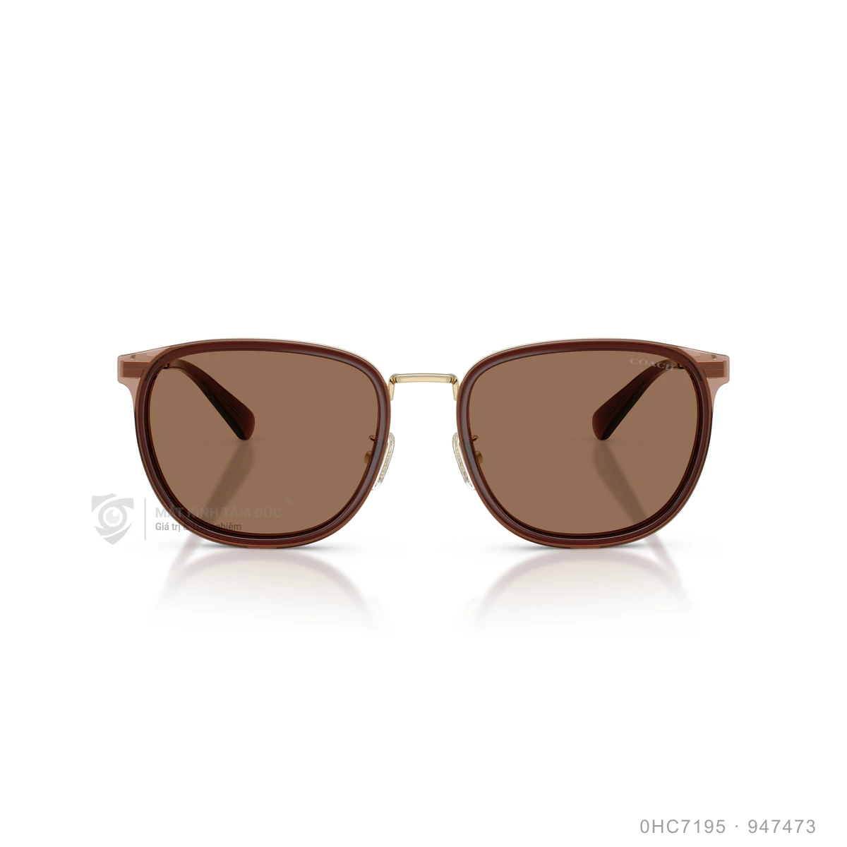 Kính mát Coach 0HC7195 - Ảnh 1