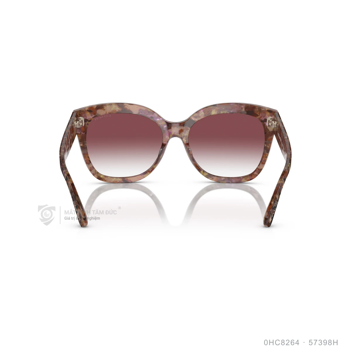 Kính mát Coach 0HC8264 - Ảnh 5