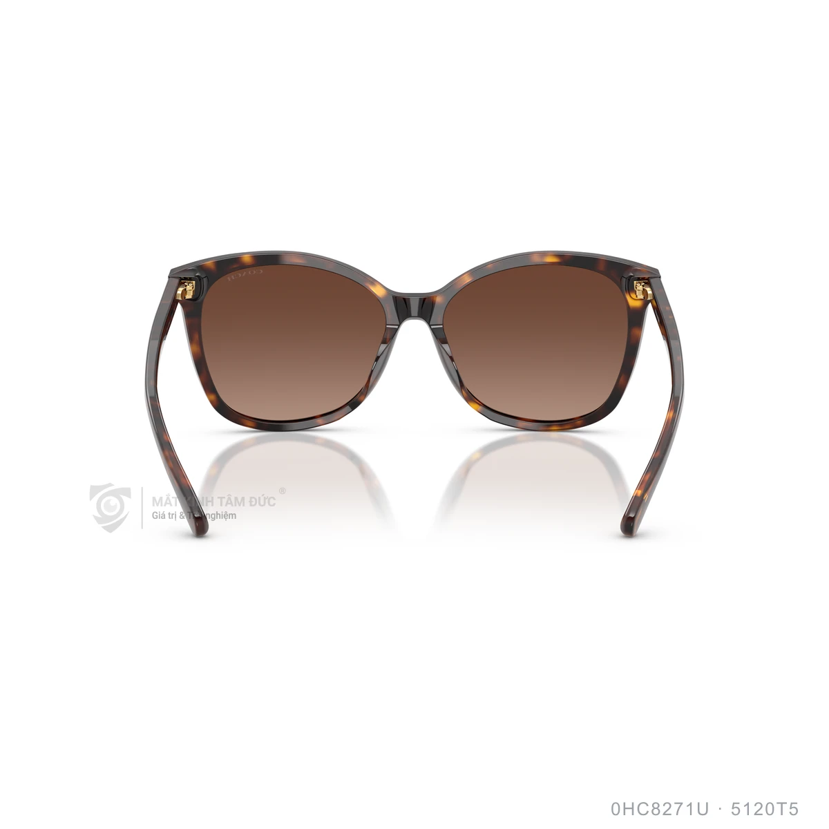 Kính mát Coach 0HC8271U - Ảnh 20