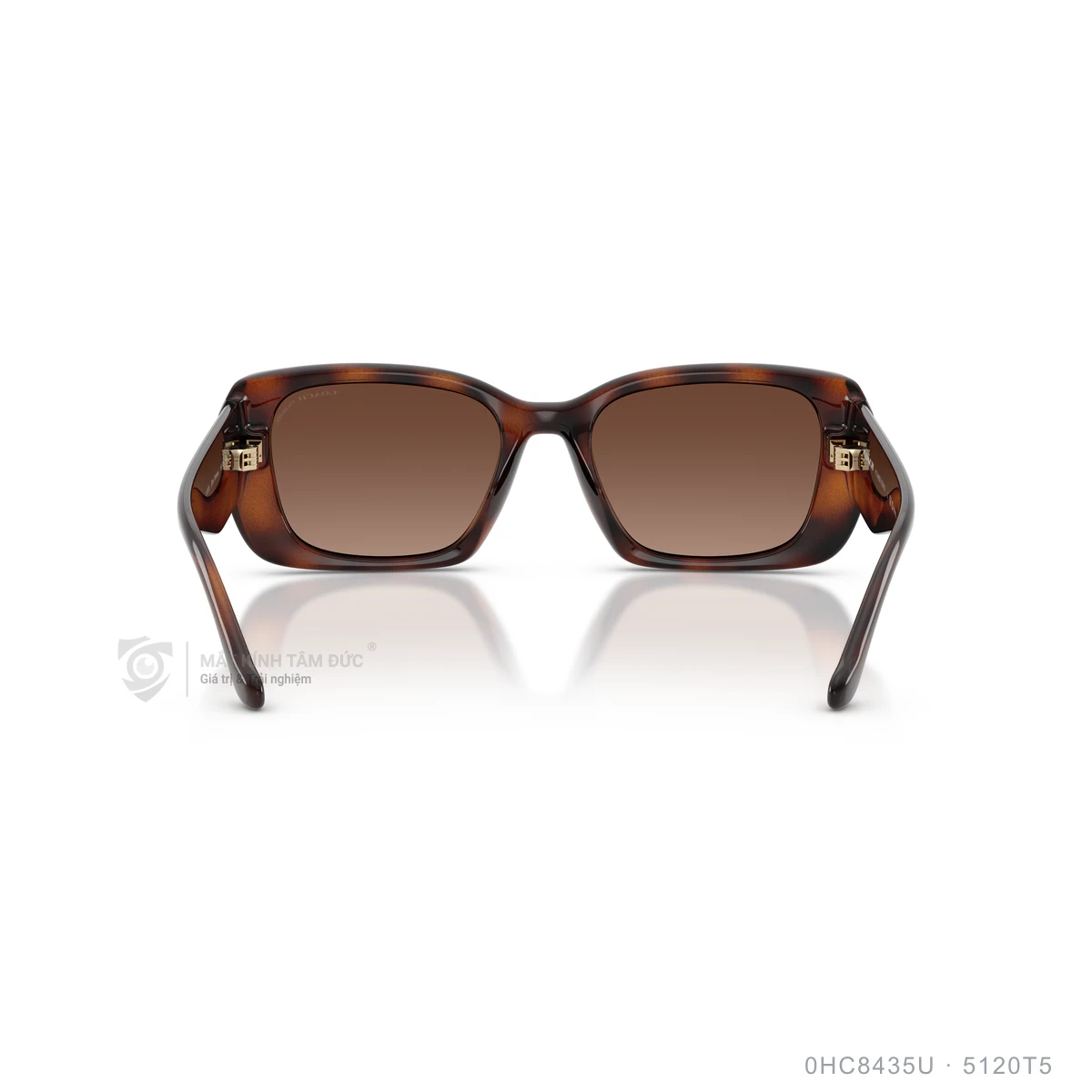 Kính mát Coach 0HC8435U - Ảnh 10