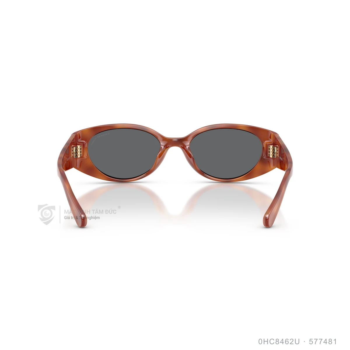 Kính mát Coach 0HC8462U - Ảnh 20