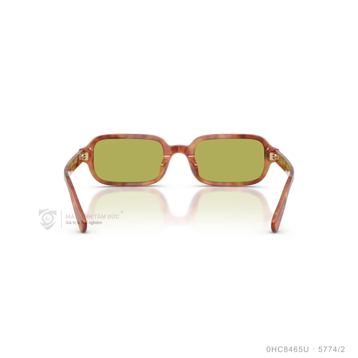 Kính mát Coach 0HC8465U - Ảnh 10