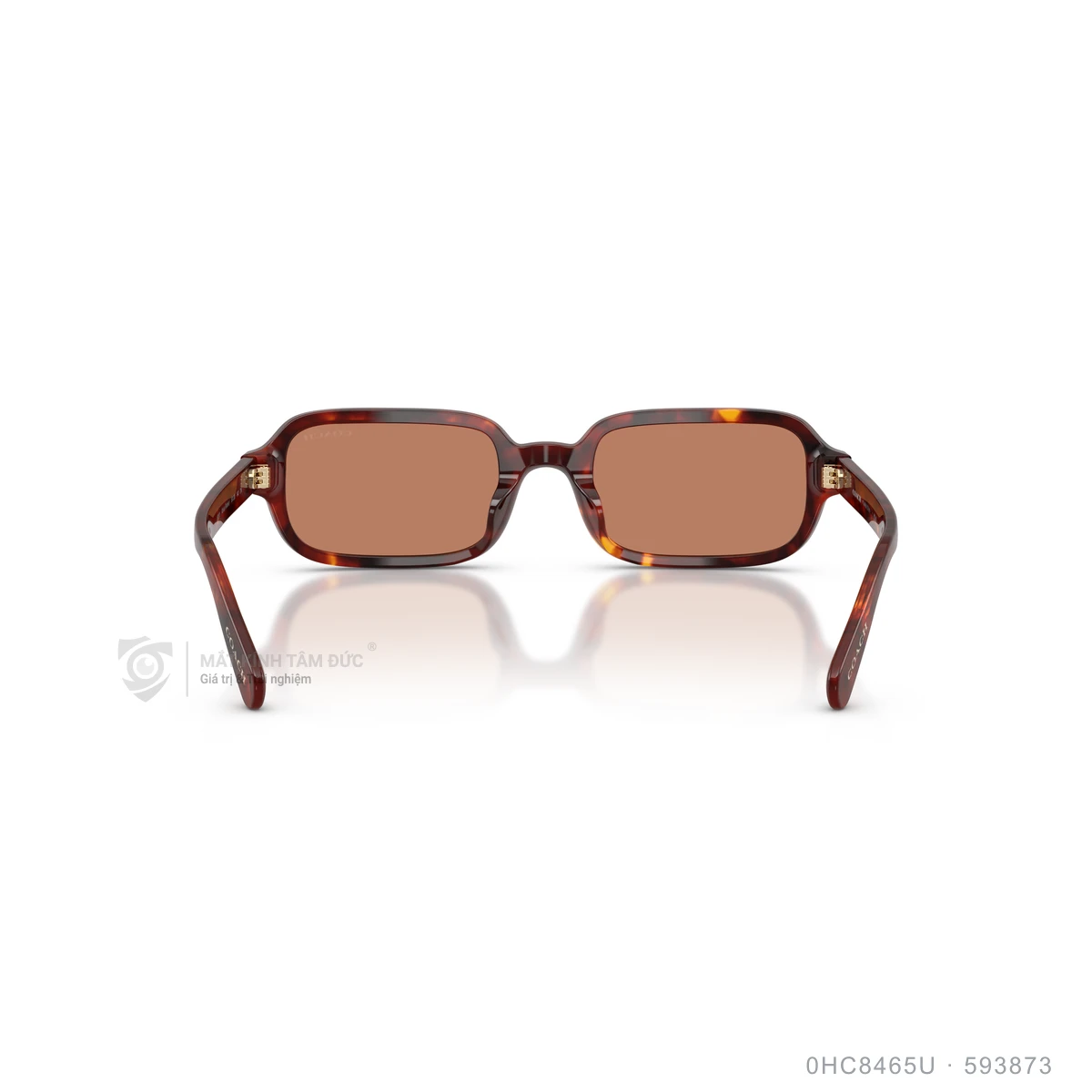 Kính mát Coach 0HC8465U - Ảnh 15