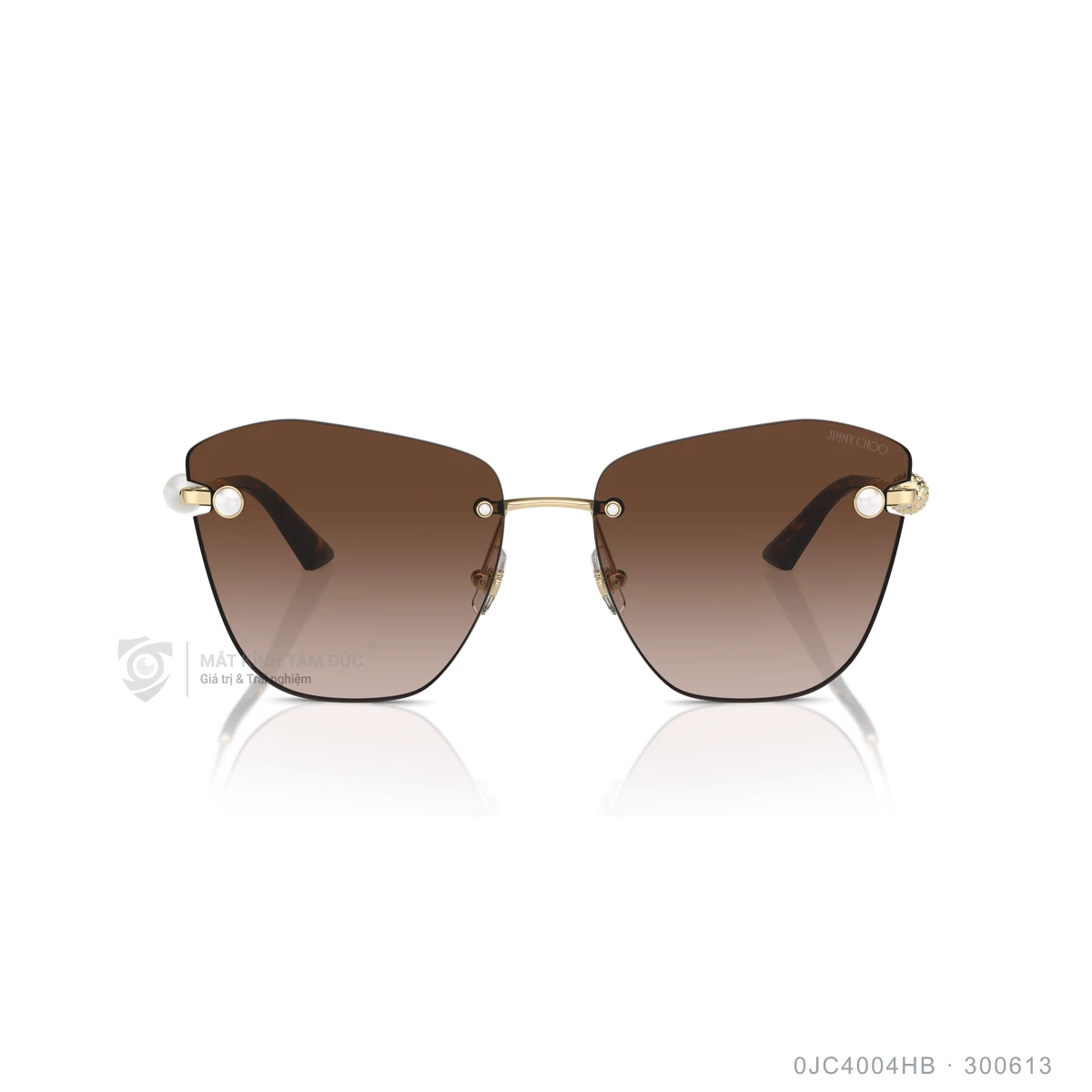 Kính mát Jimmy Choo 0JC4004HB - Ảnh 6