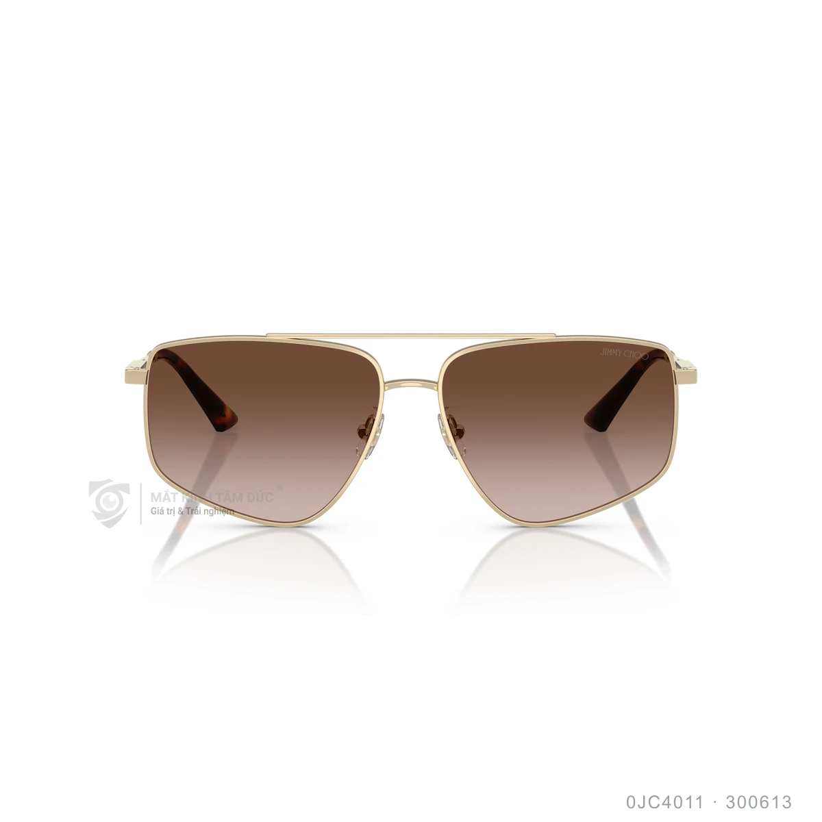 Kính mát Jimmy Choo 0JC4011 - Ảnh 6