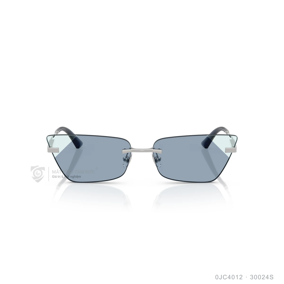 Hình ảnh thực tế Kính mát Jimmy Choo 0JC4012