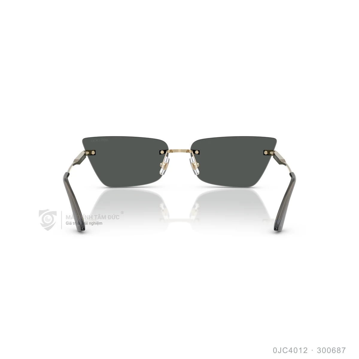 Kính mát Jimmy Choo 0JC4012 - Ảnh 15