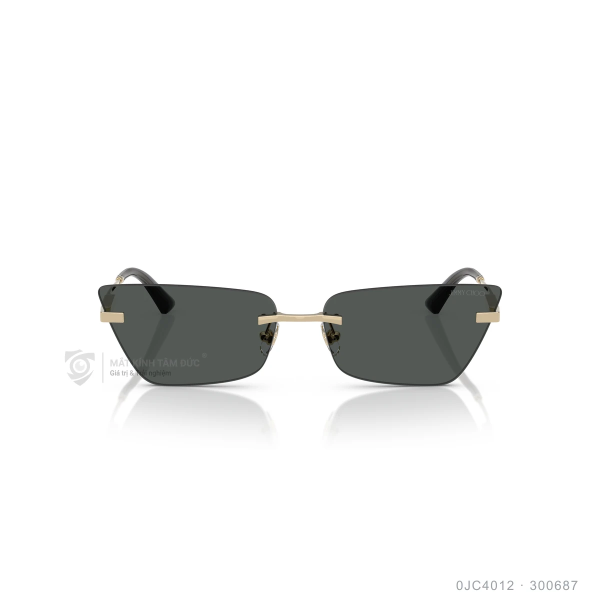 Kính mát Jimmy Choo 0JC4012 - Ảnh 11