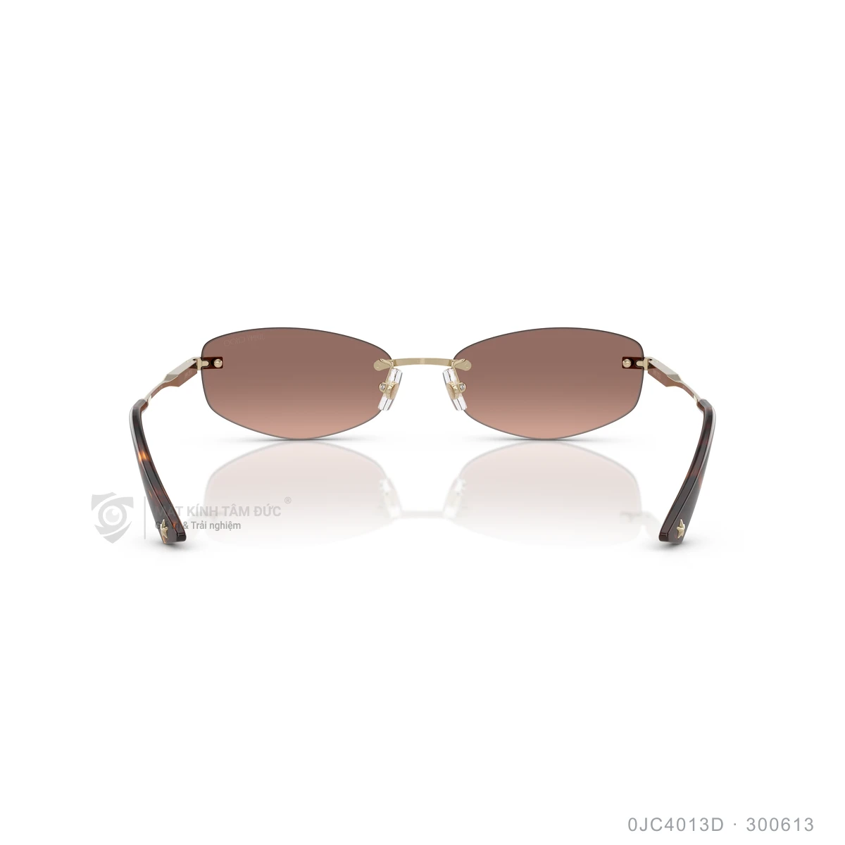 Kính mát Jimmy Choo 0JC4013D - Ảnh 5