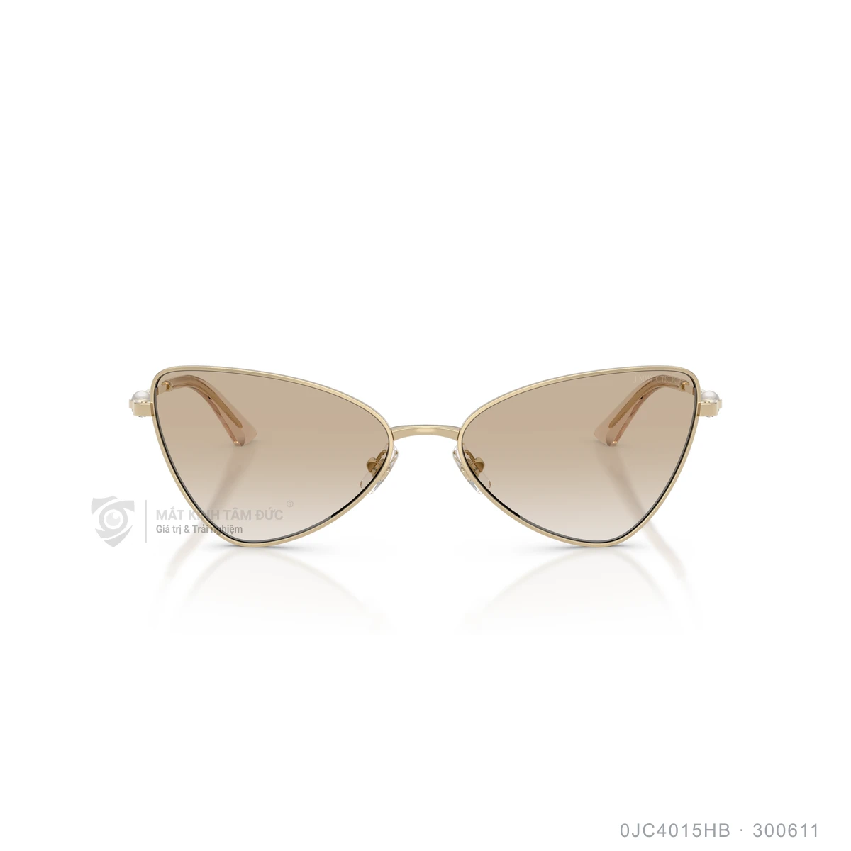 Hình ảnh thực tế Kính mát Jimmy Choo 0JC4015HB