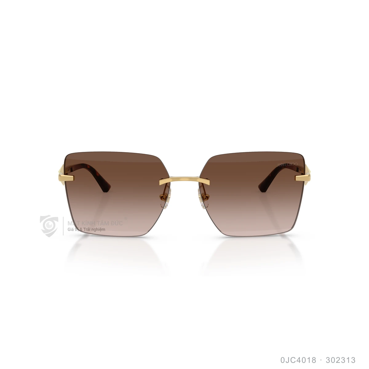 Kính mát Jimmy Choo 0JC4018 - Ảnh 1