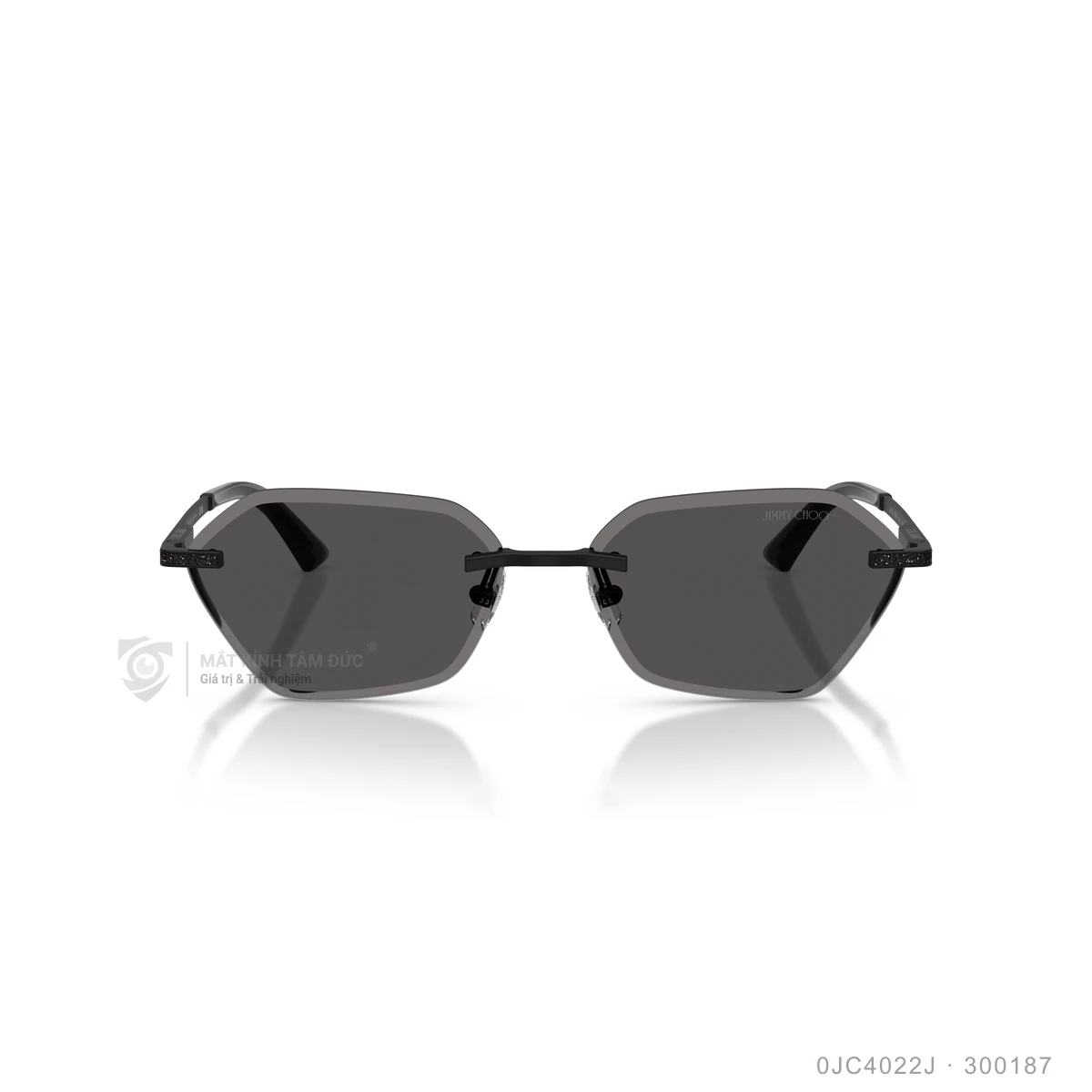 Kính mát Jimmy Choo 0JC4022J - Ảnh 1