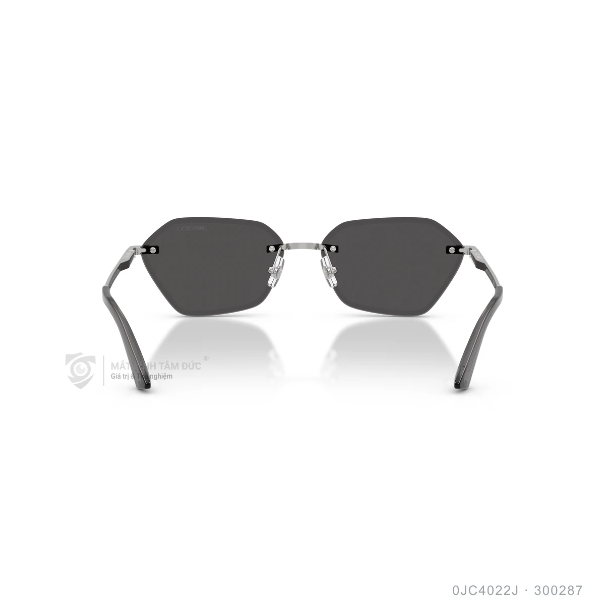 Kính mát Jimmy Choo 0JC4022J - Ảnh 10