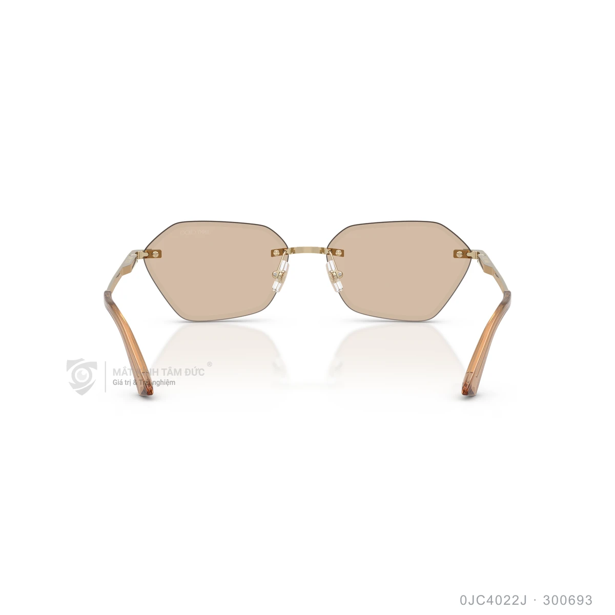 Kính mát Jimmy Choo 0JC4022J - Ảnh 15