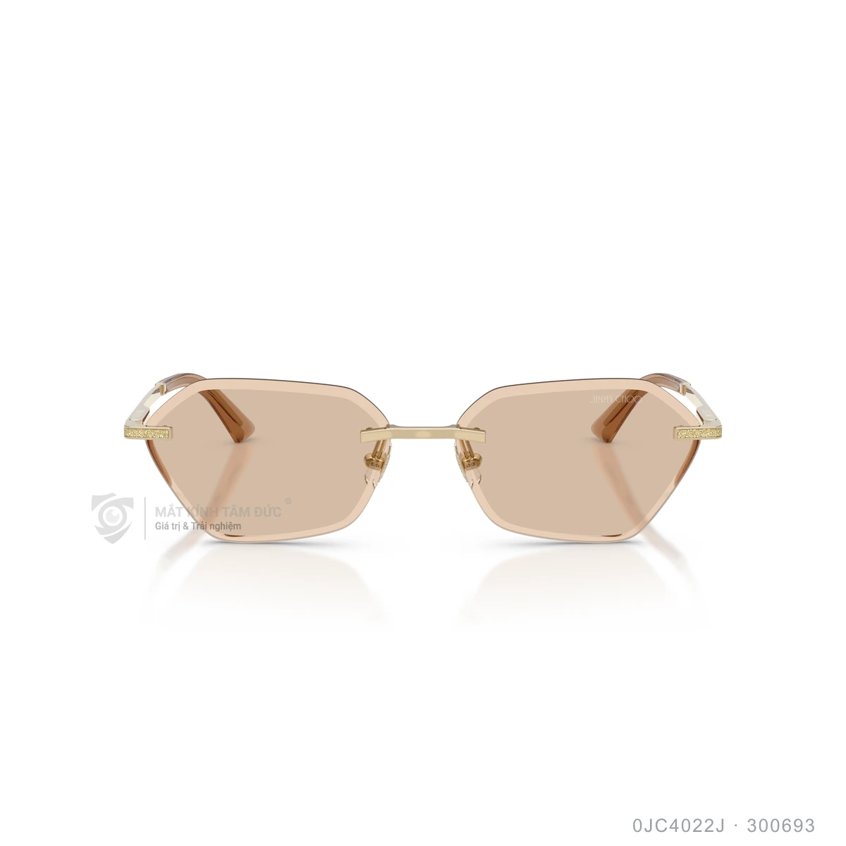 Kính mát Jimmy Choo 0JC4022J - Ảnh 11