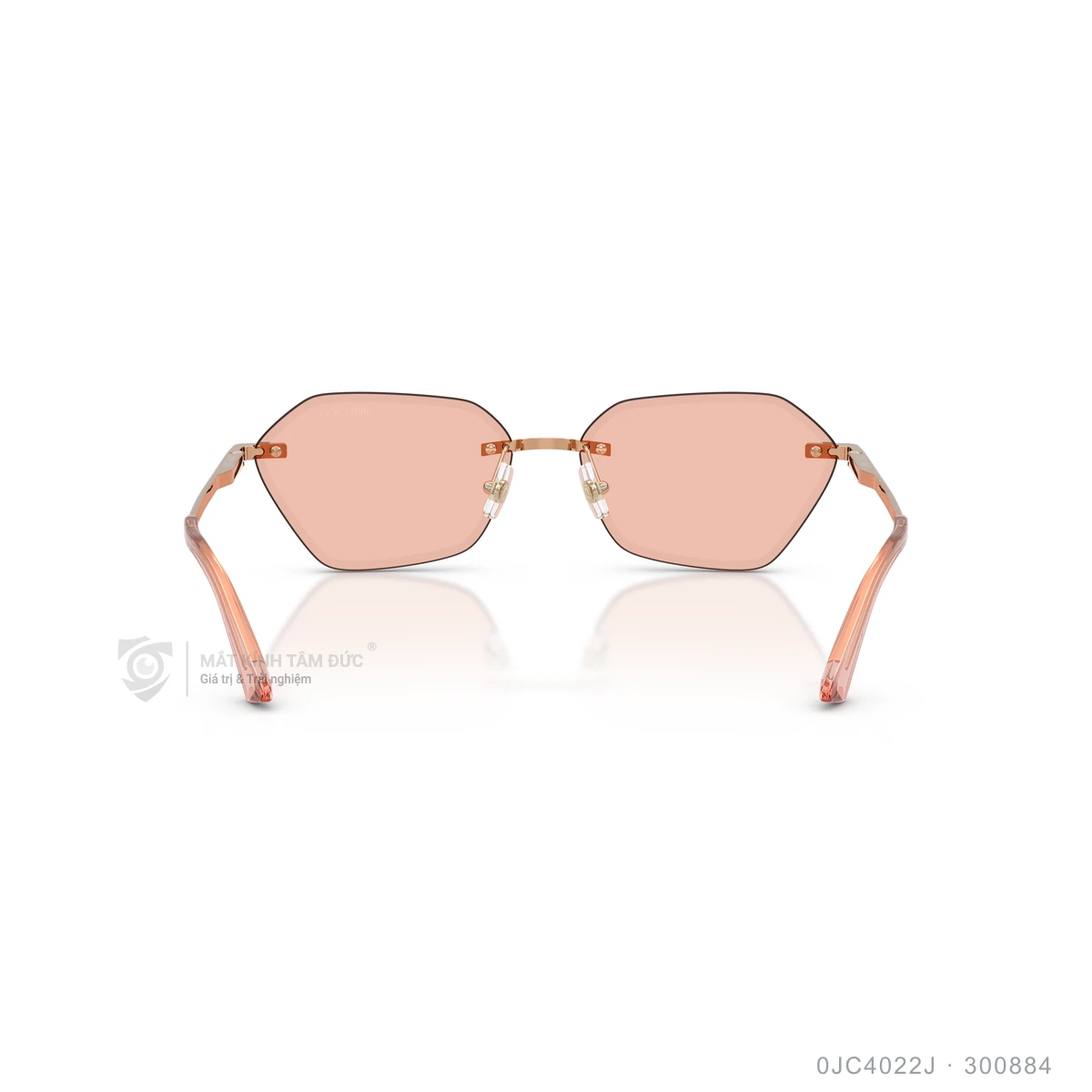 Kính mát Jimmy Choo 0JC4022J - Ảnh 20