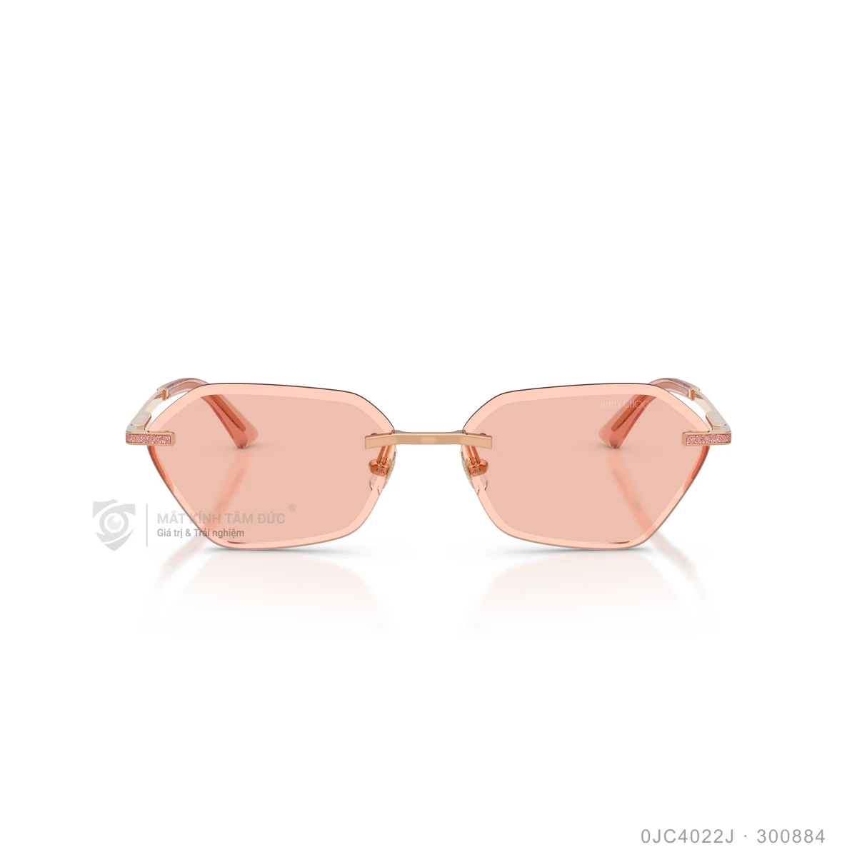 Kính mát Jimmy Choo 0JC4022J - Ảnh 16
