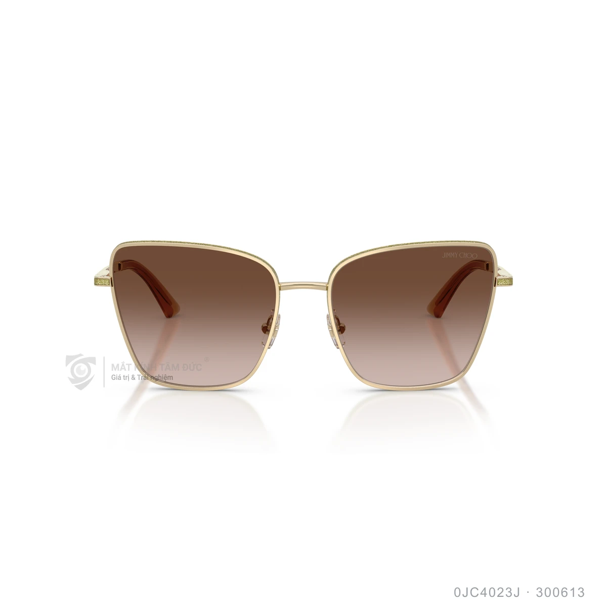 Kính mát Jimmy Choo 0JC4023J - Ảnh 11