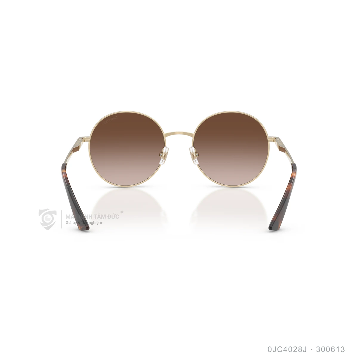 Kính mát Jimmy Choo 0JC4028J - Ảnh 15