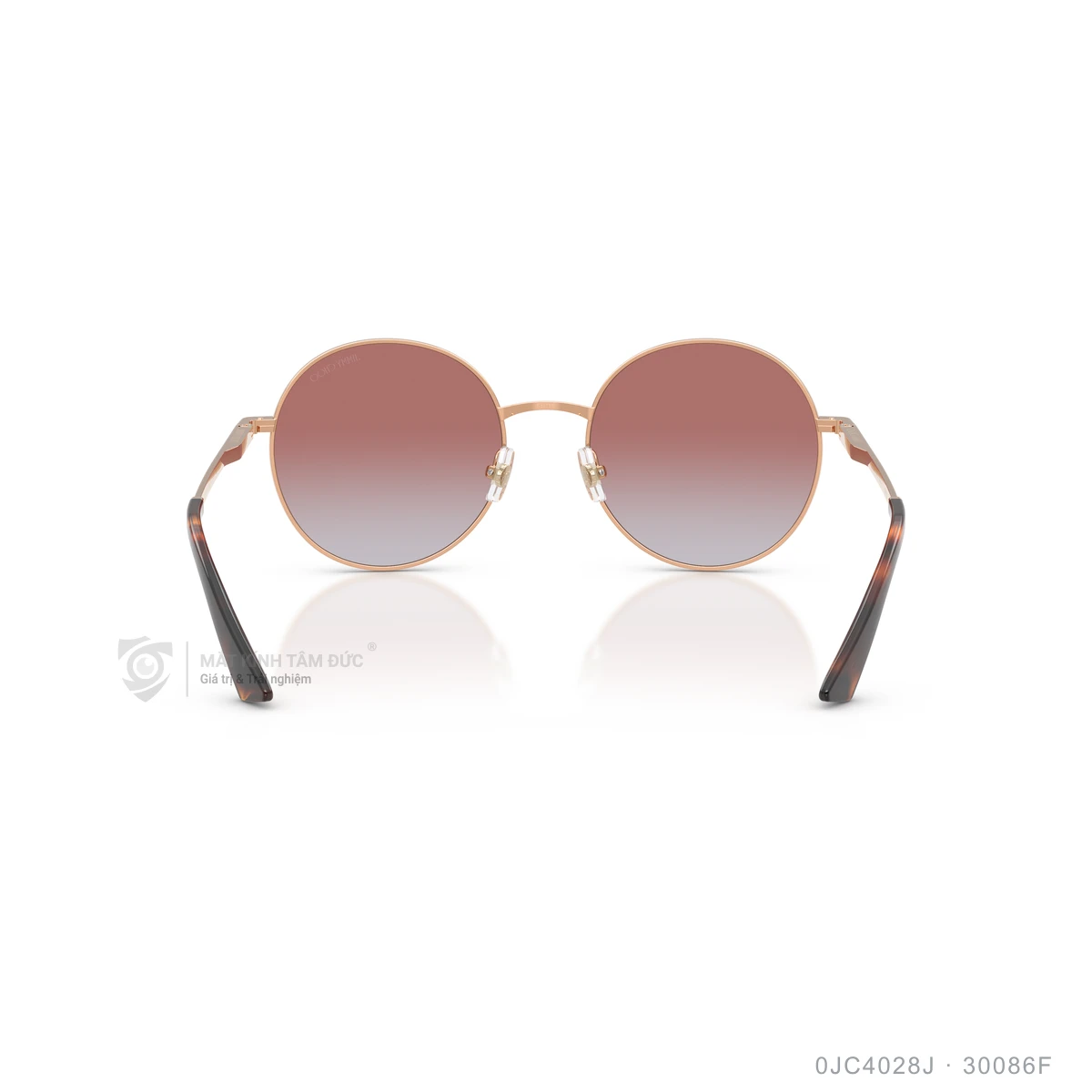 Kính mát Jimmy Choo 0JC4028J - Ảnh 20