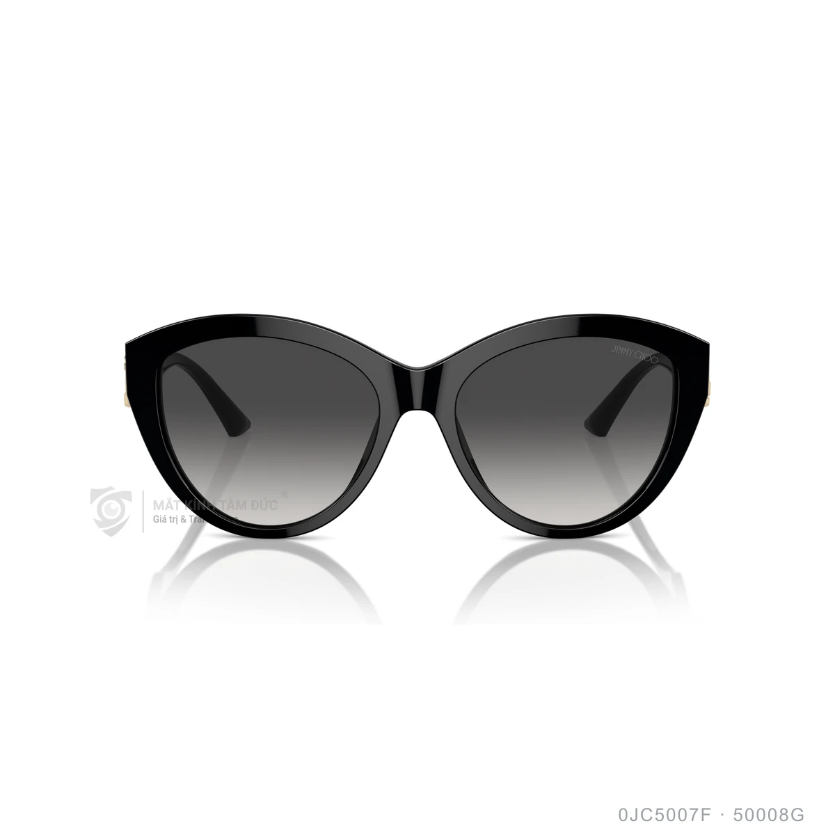Kính mát Jimmy Choo 0JC5007F - Ảnh 1