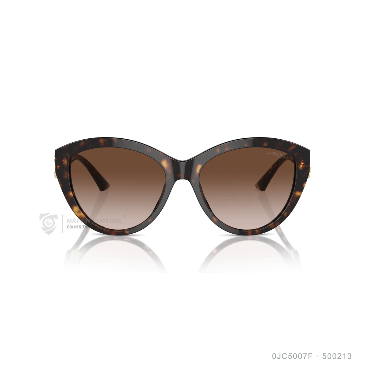 Kính mát Jimmy Choo 0JC5007F - Ảnh 6