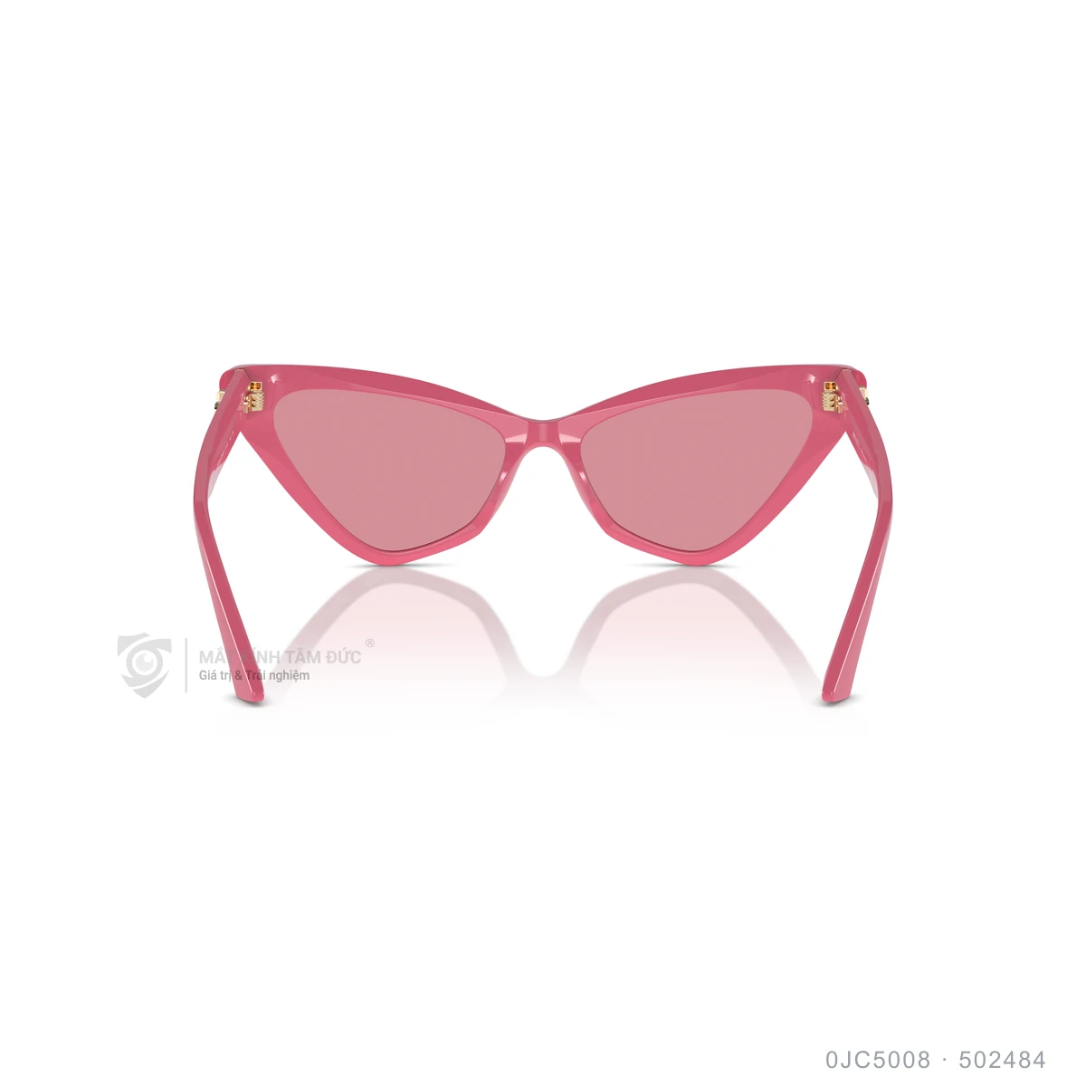 Kính mát Jimmy Choo 0JC5008 - Ảnh 25