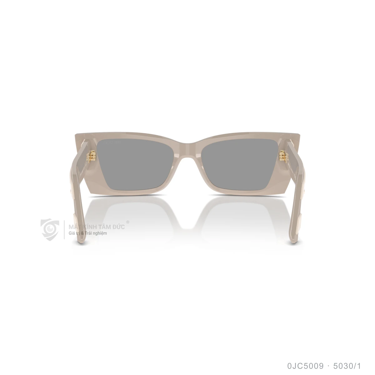 Kính mát Jimmy Choo 0JC5009 - Ảnh 15