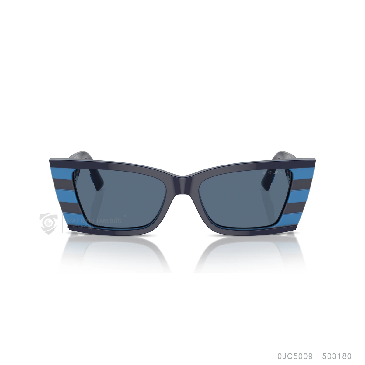 Kính mát Jimmy Choo 0JC5009 - Ảnh 16