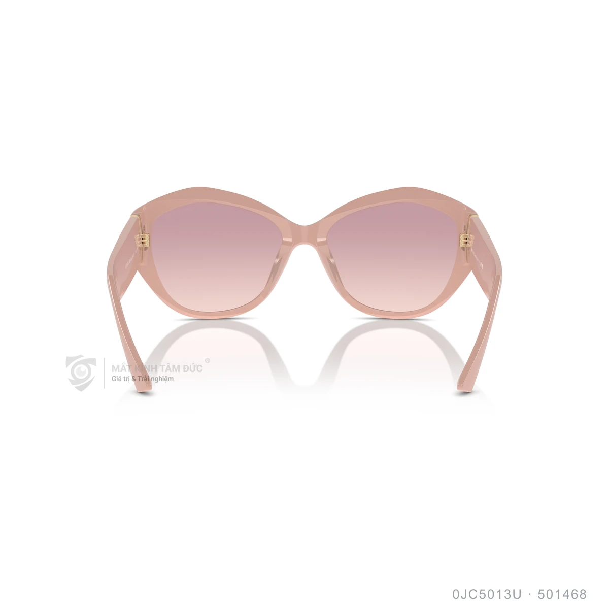 Kính mát Jimmy Choo 0JC5013U - Ảnh 15