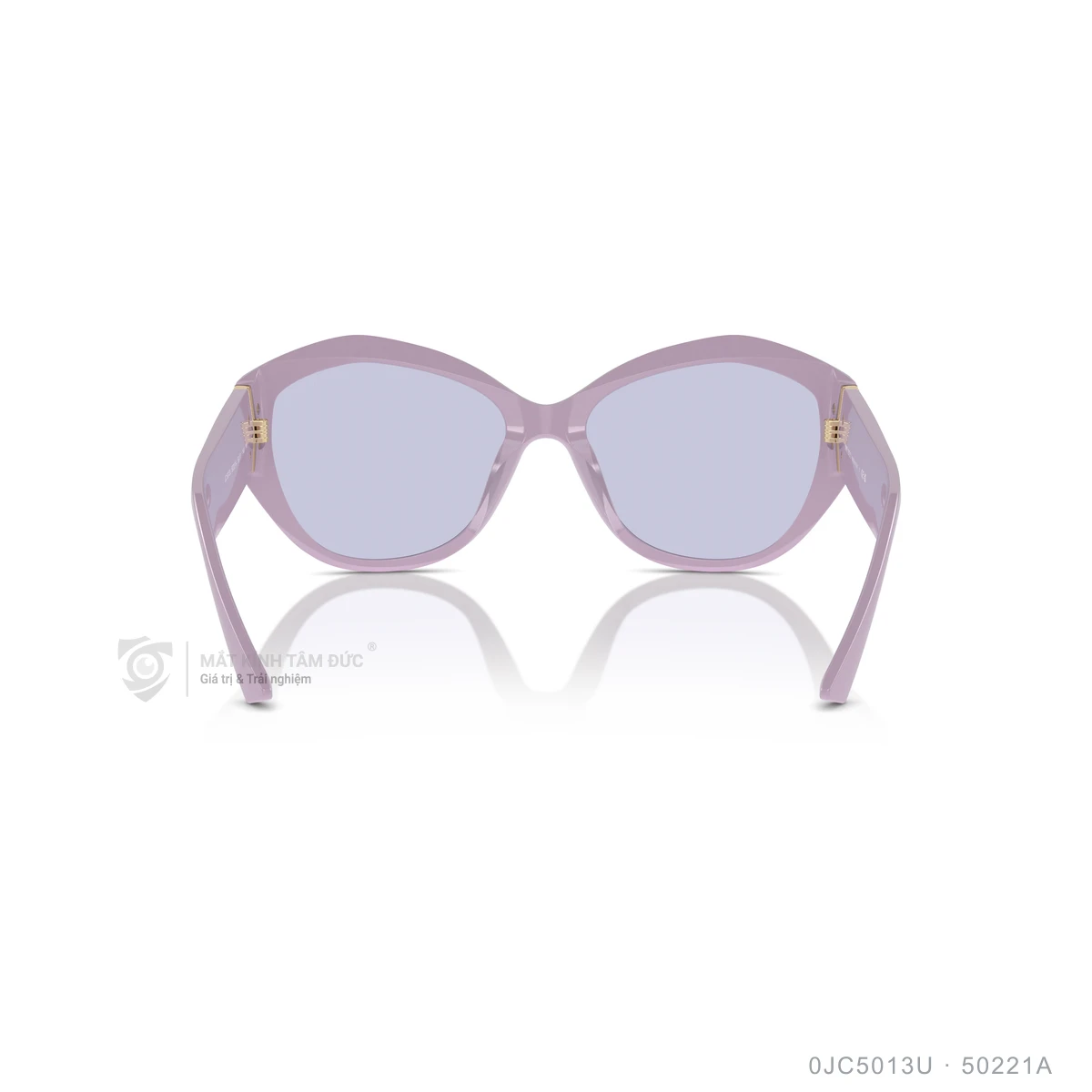 Kính mát Jimmy Choo 0JC5013U - Ảnh 25
