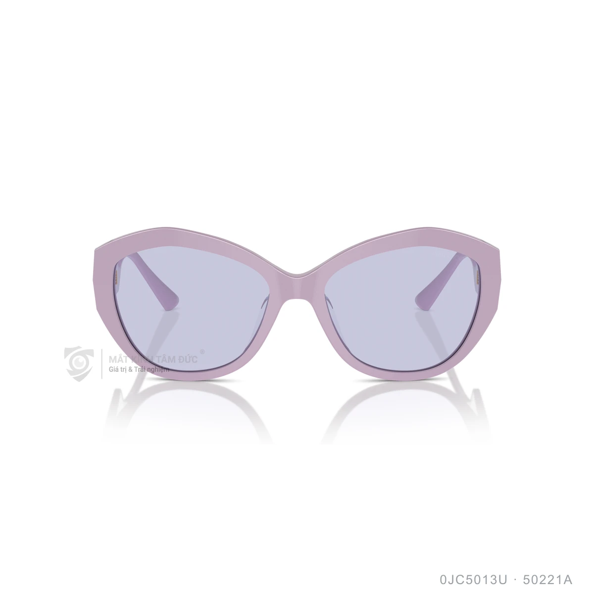 Kính mát Jimmy Choo 0JC5013U - Ảnh 21
