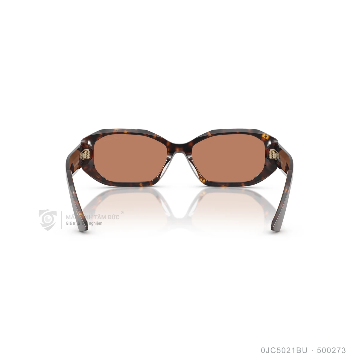 Kính mát Jimmy Choo 0JC5021BU - Ảnh 10